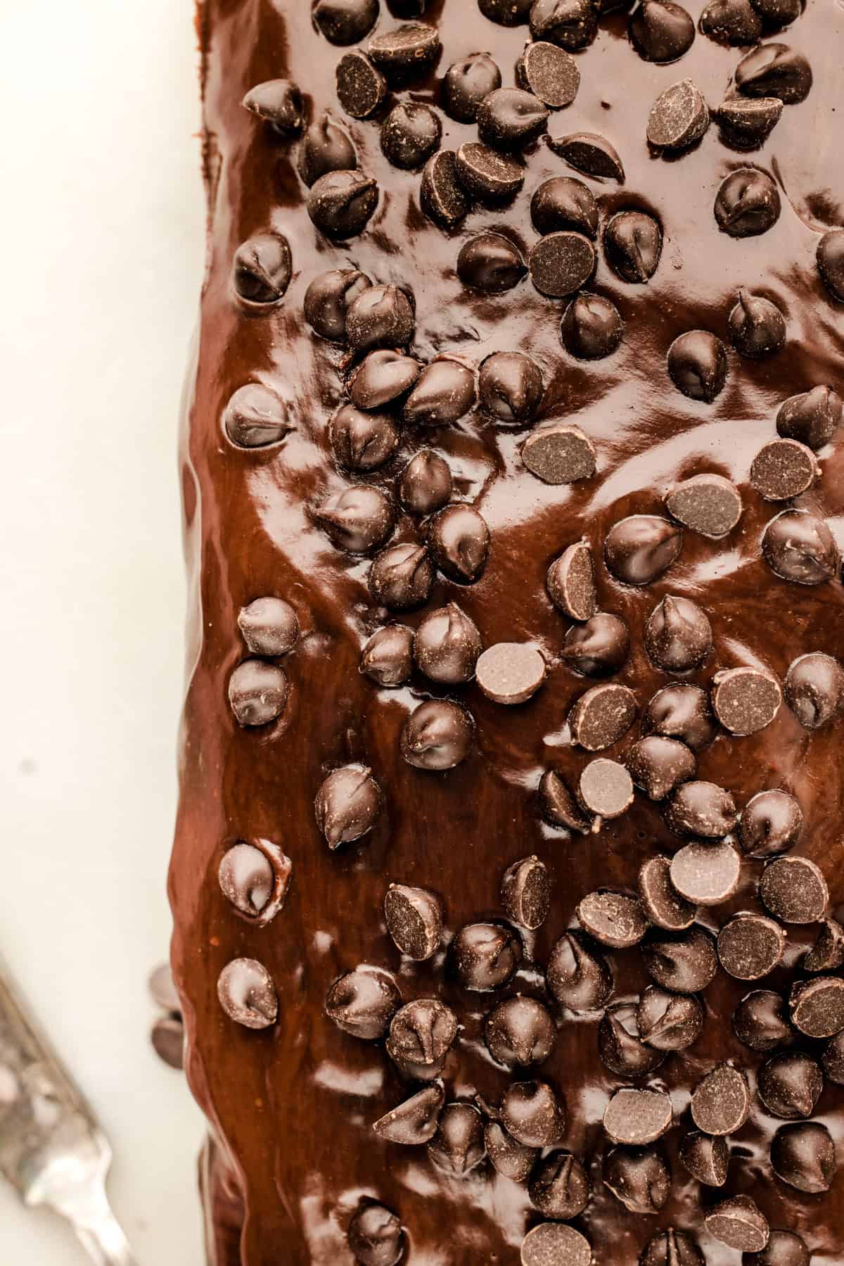 Chocolate Loaf Cake A close-up of a chocolate loaf cake topped with glossy chocolate glaze.