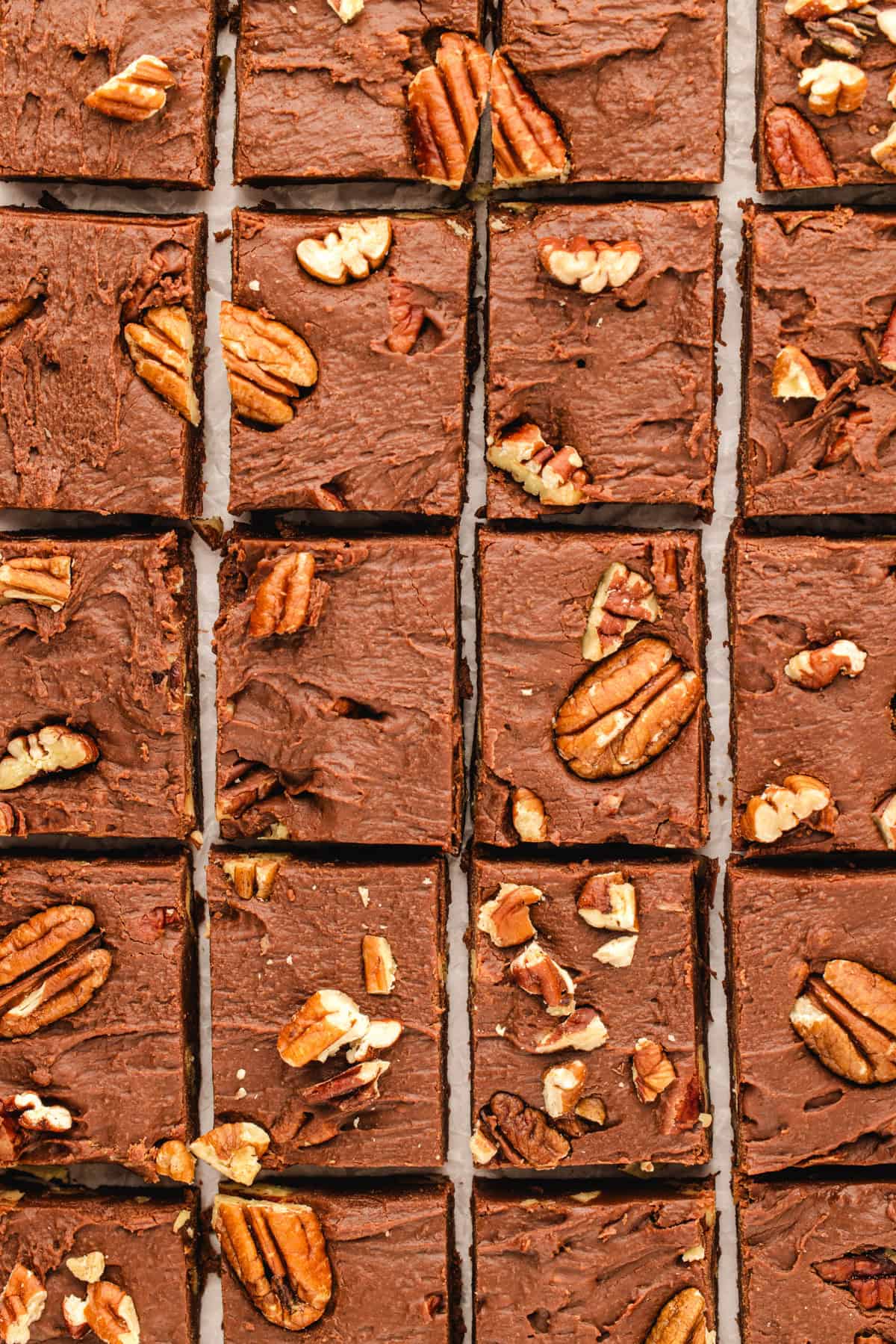 Fantasy Fudge Squares of chocolate fudge, topped with pecan pieces, are arranged in a neat, grid-like pattern.