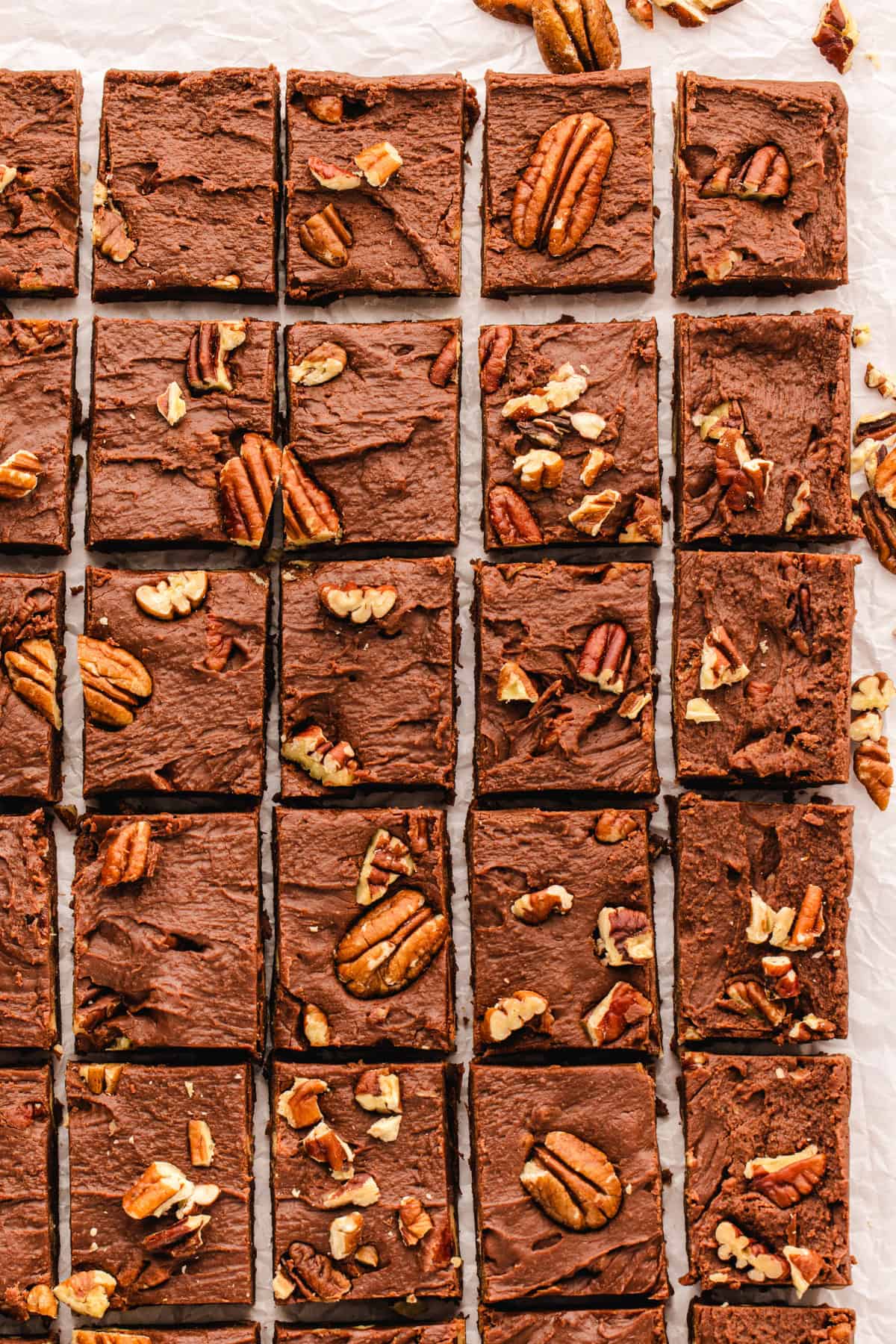 Fantasy Fudge Twenty-five chocolate fudge are arranged in neat rows.