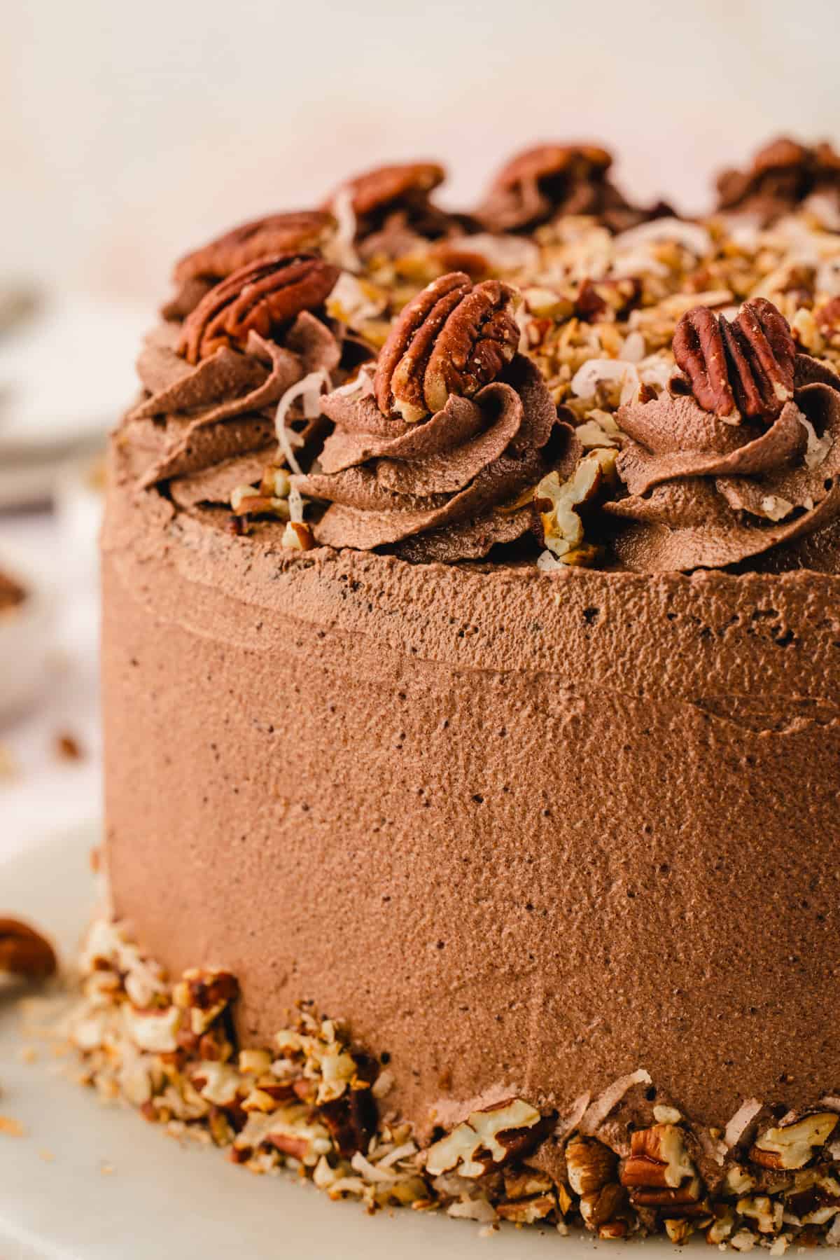 German Chocolate Cake A chocolate cake with swirls of chocolate frosting, topped with pecans and sprinkled with chopped nuts and coconut.