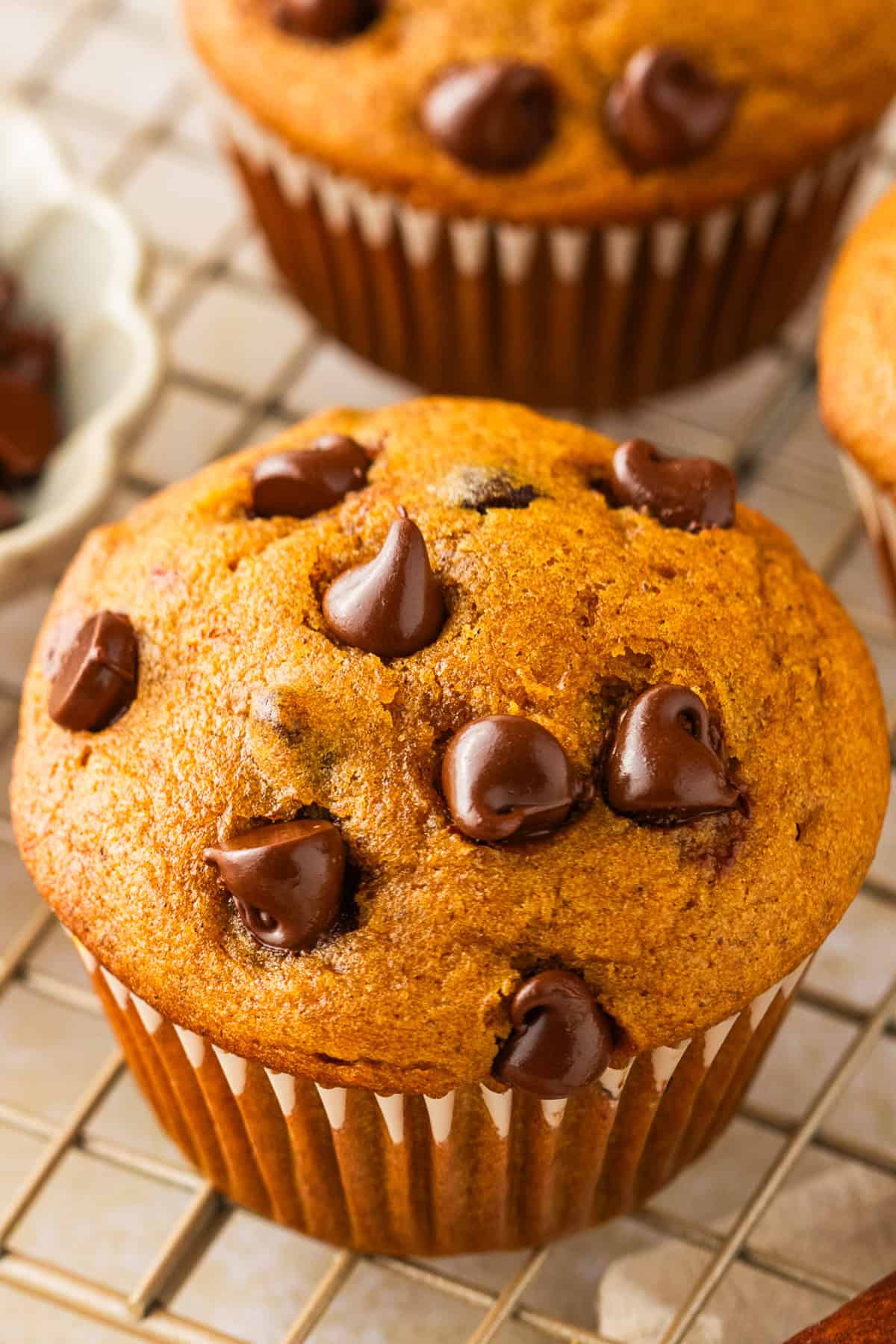 Pumpkin Chocolate Chip Muffins A close-up of a chocolate chip muffin on a cooling rack, topped with melted chocolate chips.