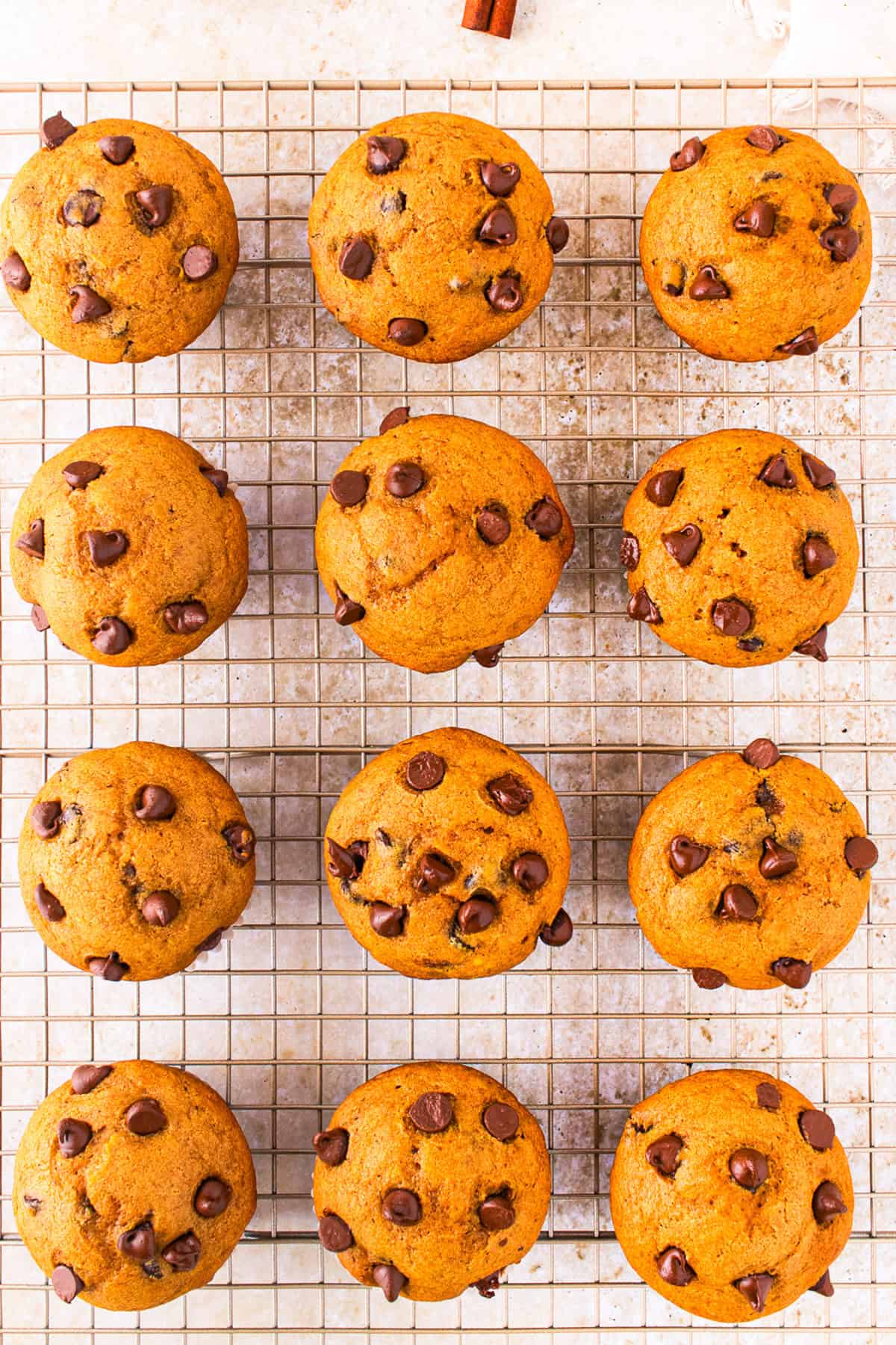 Pumpkin Chocolate Chip Muffins Twelve chocolate chip muffins are arranged in neat rows on a cooling rack, viewed from above.