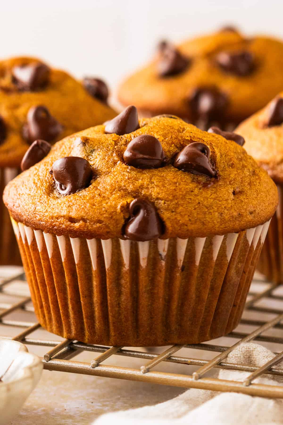 Pumpkin Chocolate Chip Muffins A close-up of a chocolate chip muffin in a paper wrapper, with more muffins and a cooling rack in the background.
