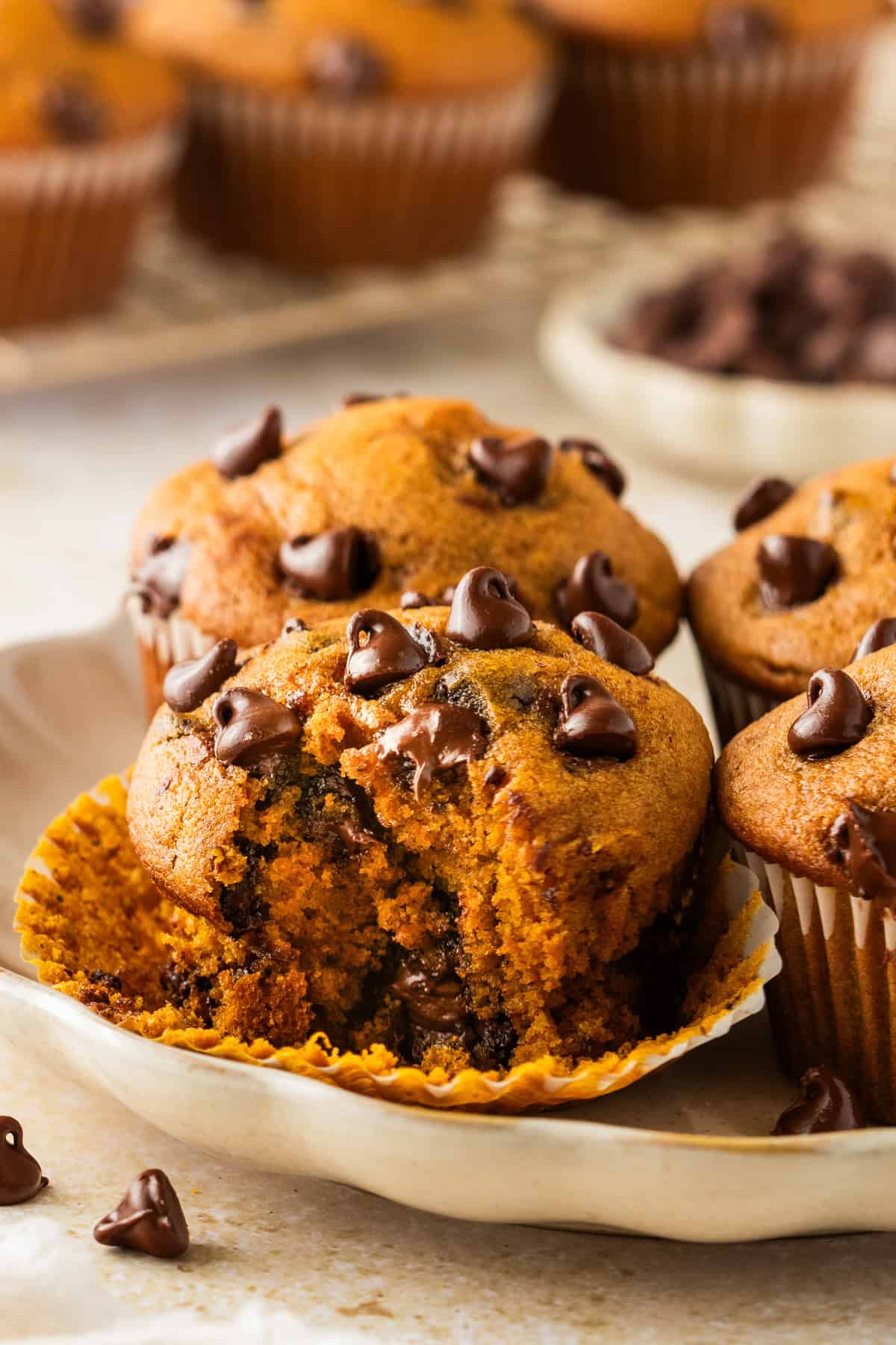 Pumpkin Chocolate Chip Muffins A close-up of three chocolate chip muffins on a plate, with one muffin partially unwrapped and bitten, showing its moist chocolatey center.