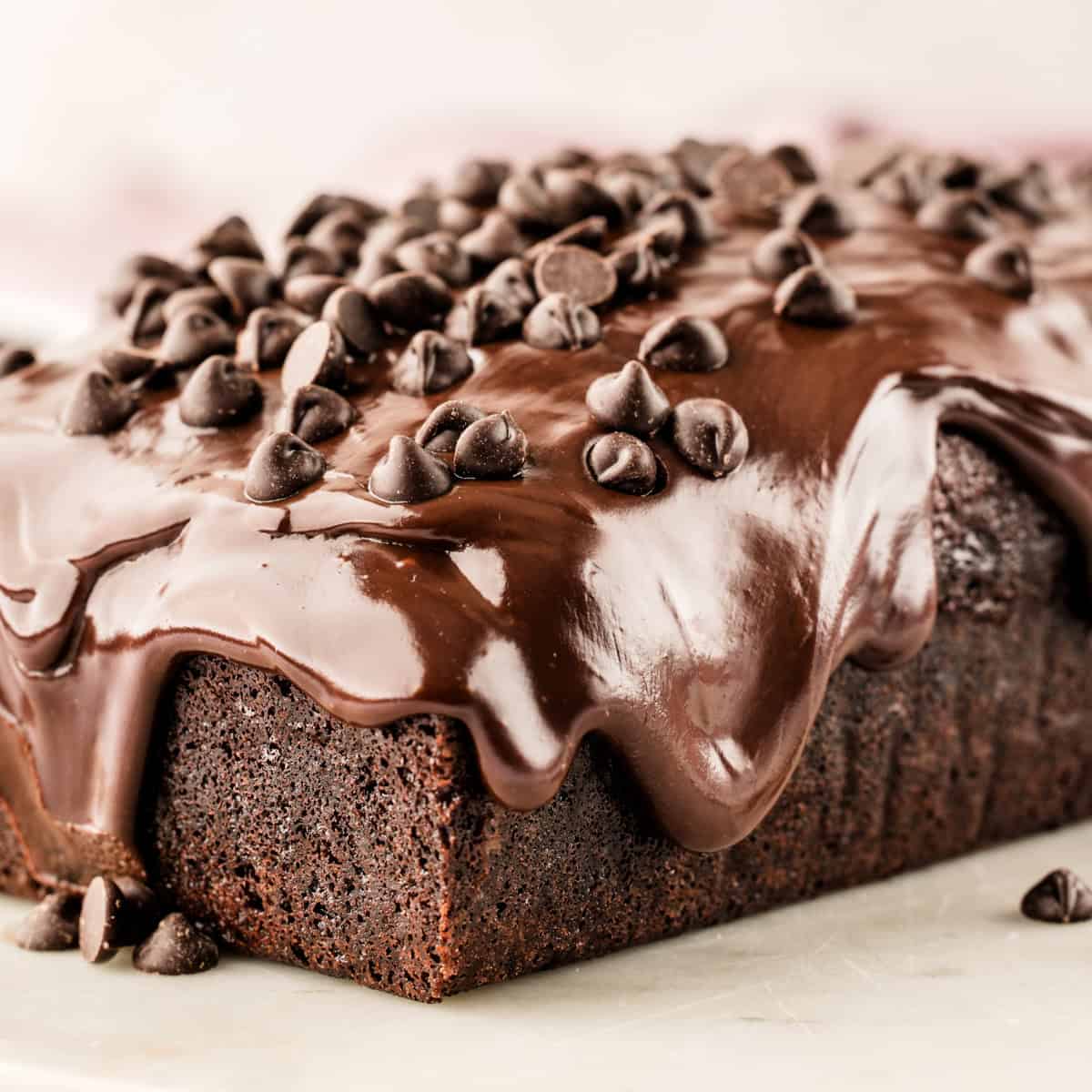 A rich chocolate loaf cake topped with glossy chocolate icing and sprinkled with chocolate chips.