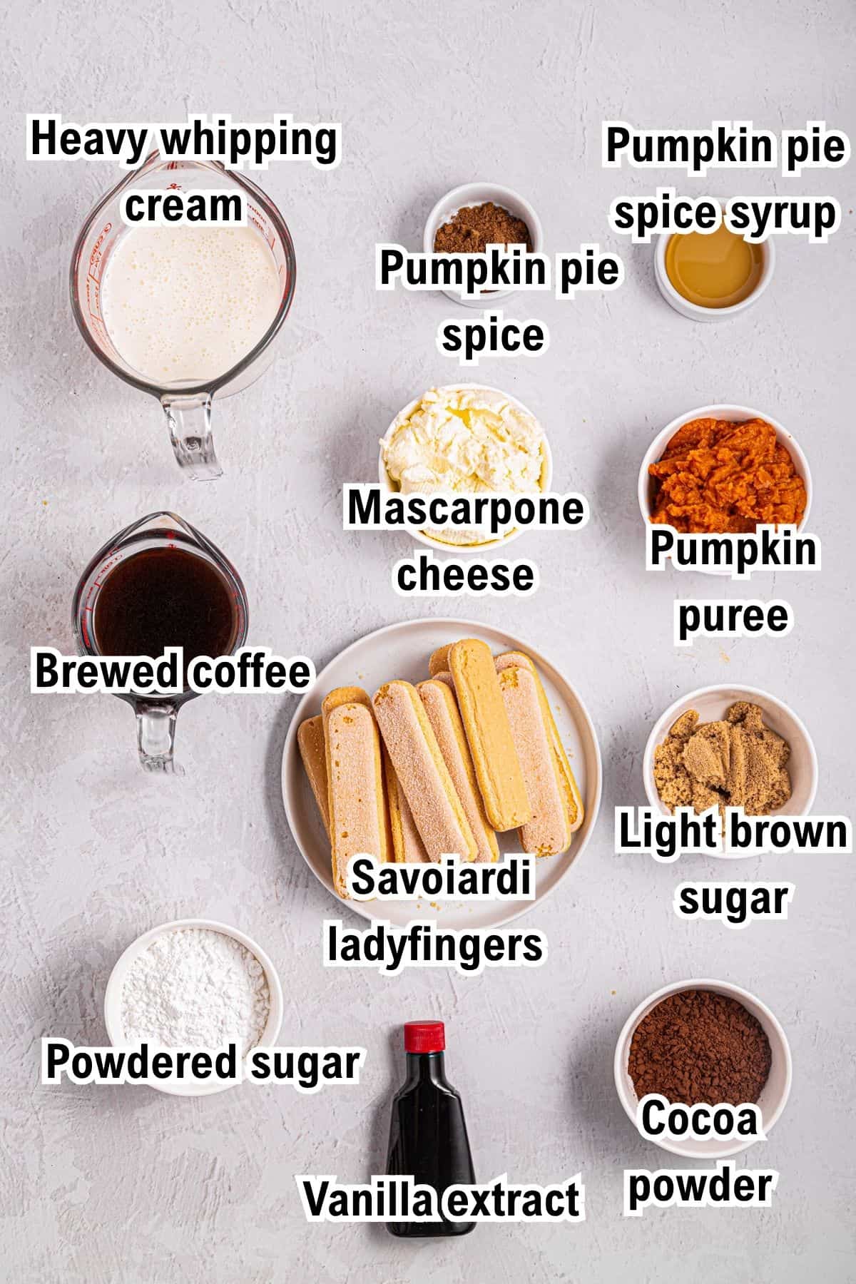The Ingredients for Pumpkin Tiramisu This photo shows the ingredients for pumpkin tiramisu, including heavy cream, pumpkin pie spice and syrup, mascarpone, pumpkin puree, coffee, ladyfingers, sugars, cocoa, and vanilla, arranged in bowls and labeled on a light surface.