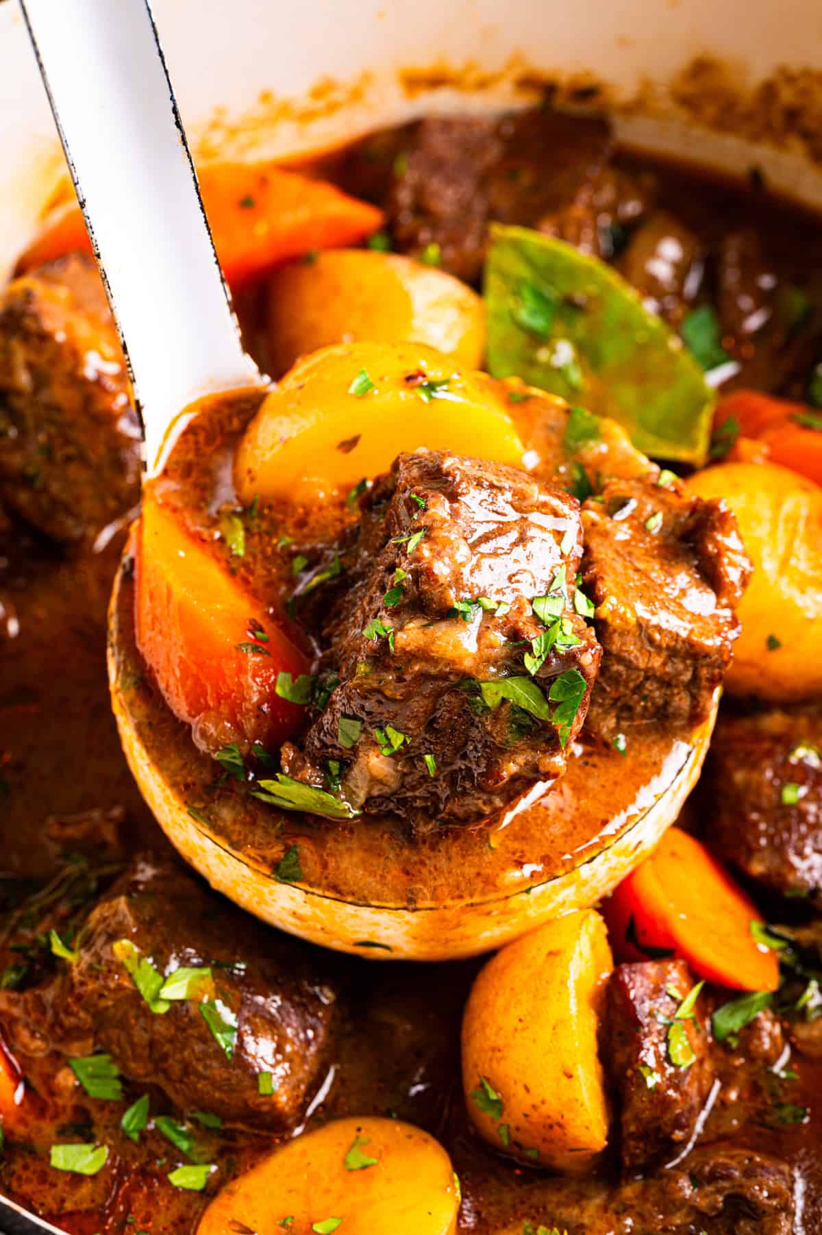 Irish Beef Stew A white ladle lifts a portion of beef stew containing chunks of meat, potatoes, and carrots from a pot.